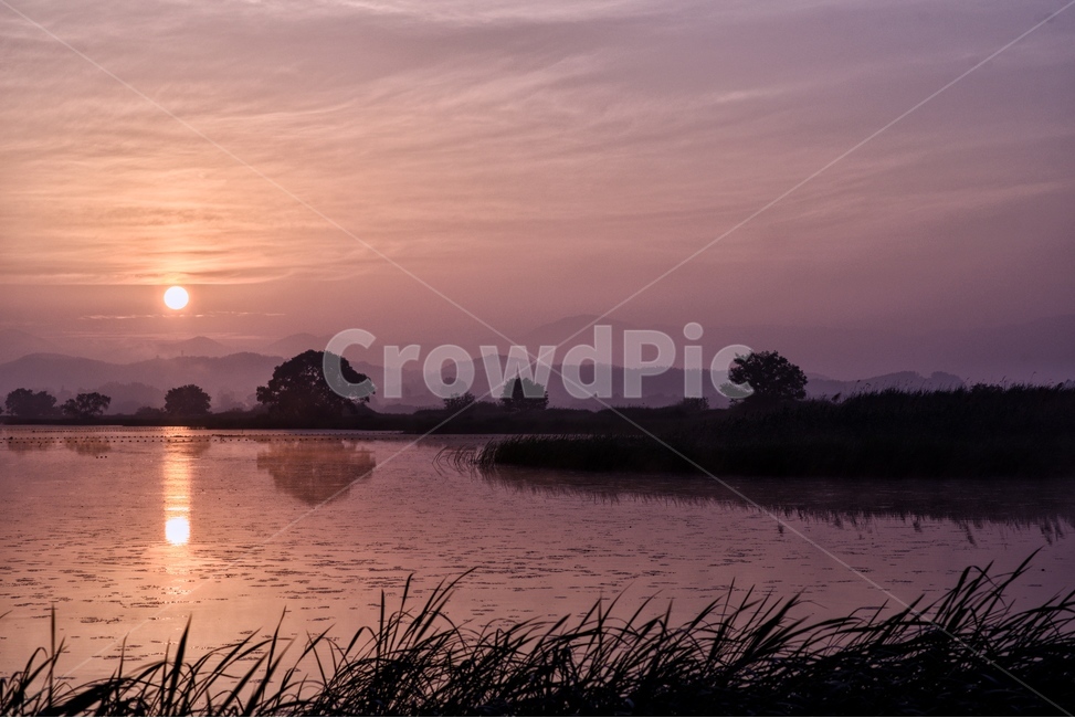 물안개,새벽,늪,일출,자연,풍경,몽환,자연,풍경,nature,landscape,한국자연풍경,한국자연경관,korea nature landscape,outdoors,옥외
