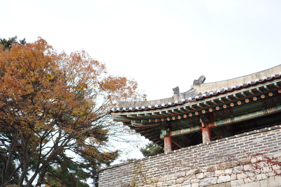 가을풍경,단풍,남한산성,낙엽,가을산,한국전통,한국문화,korean traditional,korean culture,건축물,건물외관,exterior,building,structure,architecture,construction