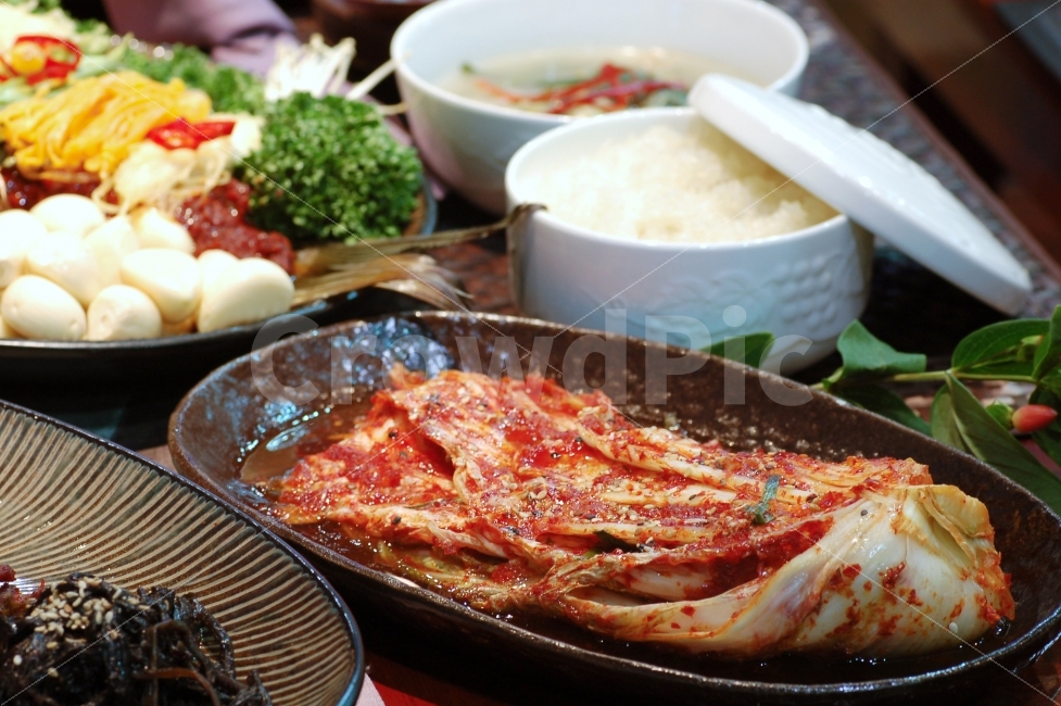 김치,배추김치,한식,반찬,채소,밥,쌀밥,접시,그릇,밥상,식탁,음식,한국,한국전통,한국문화,korean traditional,korean culture,음식,식재료,요리,food,cook,meal,dishes,food reserves,채소,야채,vegetables,한식,한국음식,한국요리,korean food,korean dishes,korean meal,korean cook