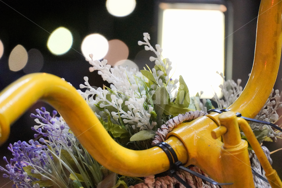자전거,꽃,노랑,불빛,장식,배경화면,모던,빈티지,decoration,modern,vintage,bicycle,flower,yellow