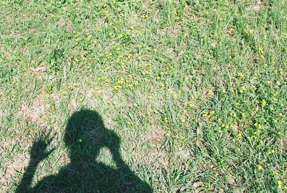잔디,그림자,안녕,인사,셀카,인물실루엣,사람실루엣,character silhouette,human silhouette,plant,식물,grass