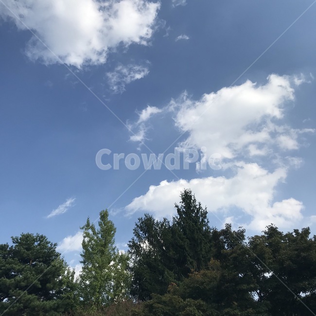 nature,자연,outdoors,옥외,하늘
