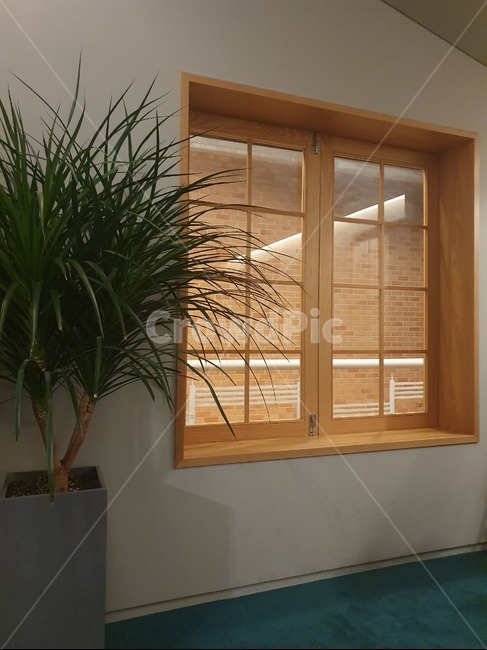 인테리어,창문,homedecor,가정장식,분위기,인테리어,실내디자인,interior design