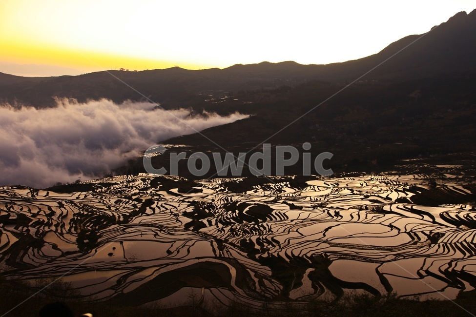 field,들,outdoors,옥외,nature,자연,landscape,경치,scenery,풍경,weather,날씨,중국,운남,원양제전,원양다랭이논,다락논,농경지,농업,농사,경작,다랭이논,자연,풍경,nature,landscape,농업,농사,agriculture,farming,farming industry