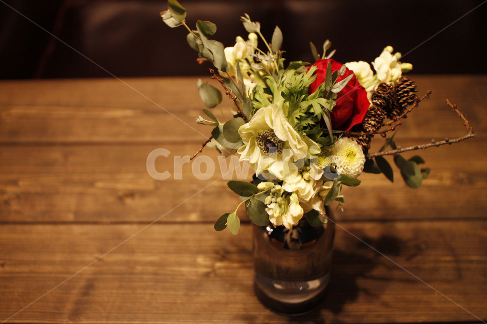 꽃,일상,꽃다발,행복,감성,꽃,flower,실내용화초,화분,화초,house plant,인테리어,실내디자인,interior design