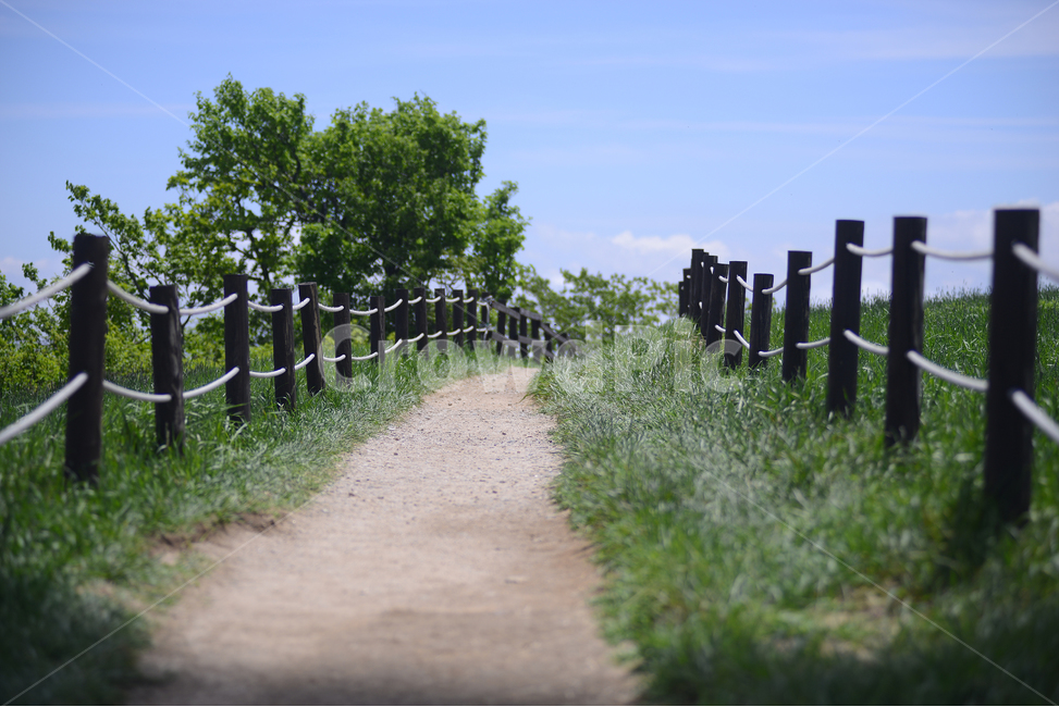 자연,풍경,하늘,구름,목장,초록,하양,nature,landscape,sky,green,korea,road,길,자연,풍경,nature,landscape,dirt road,흙길,도로,gravel,자갈