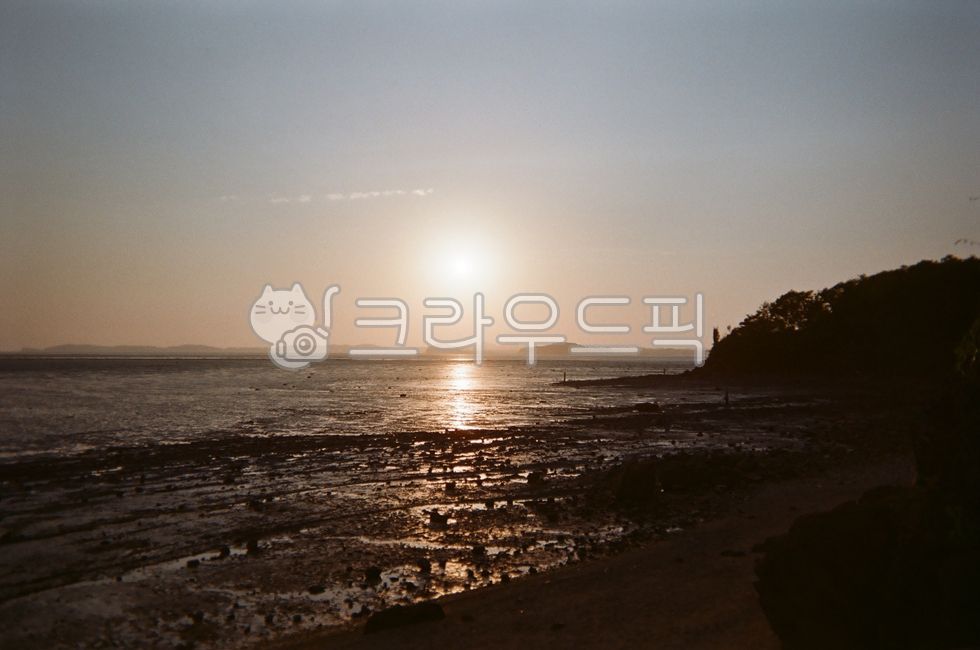 자연,식물,초록초록,싱그러움,플레어,flare,light,sunlight,햇빛,노을,해질녘,필름사진,감성사진,바닷가,바다,해안선,수평선