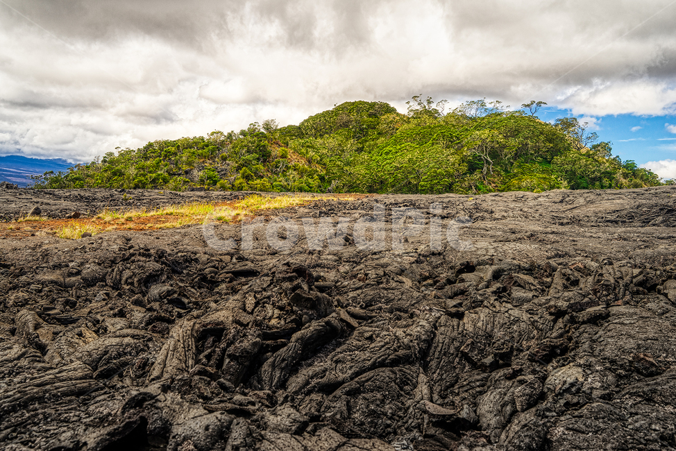 마우나로아,하와이,maunaloa,hawaii,volcanofield,자연,풍경,nature,landscape,해외,외국,세계,foreign,oversea,world,세계자연풍경,해외자연풍경,외국자연풍경,world nature landscape,ground,바닥