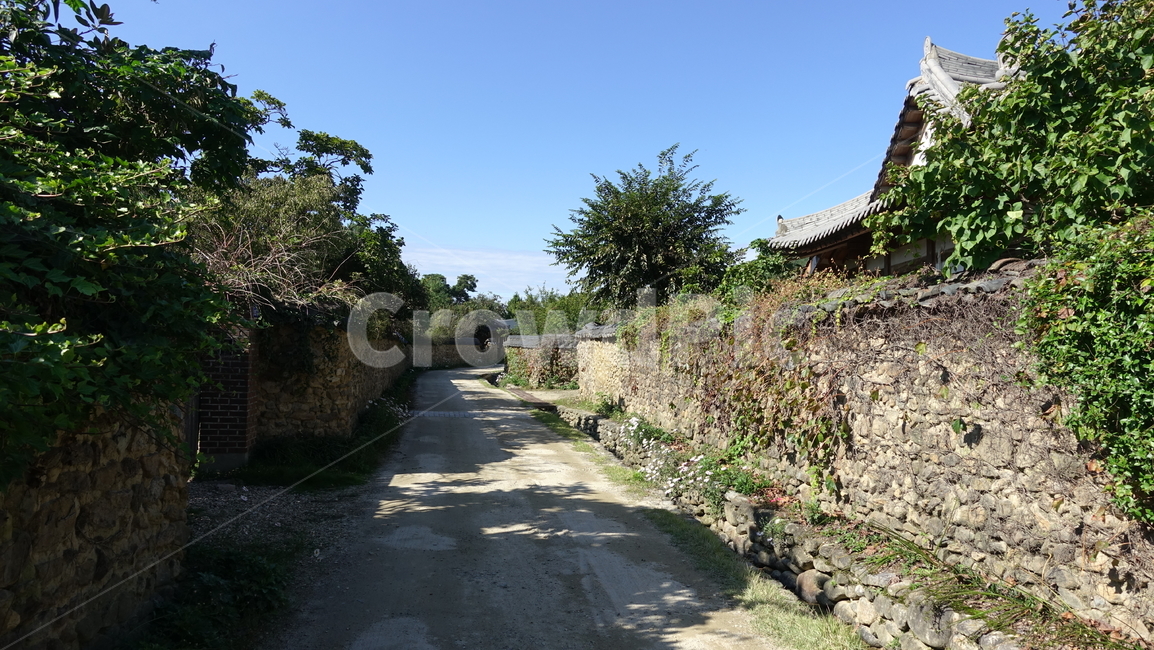 가을,삼지내마을,돌담,wall,골목
