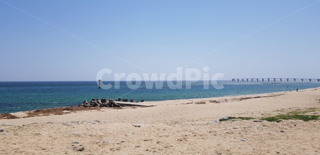 여름바다,바다,해수욕장,파도,모래사장,해변,해변,바다,beach,sea