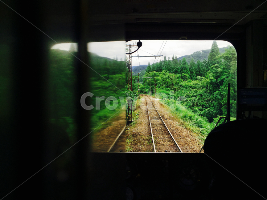기차,기찻길,산,나무,창,유리창,train