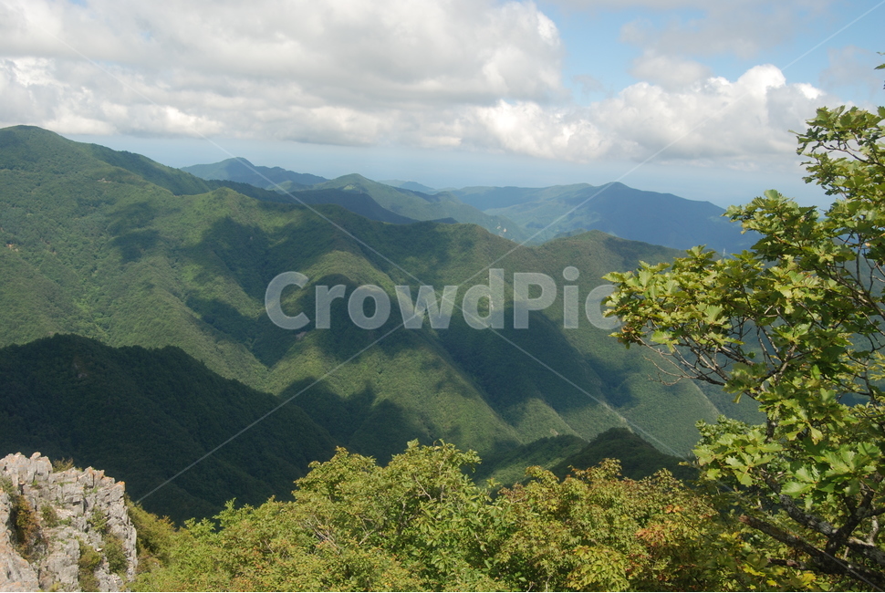 석병산,백두대간,수목원,탐방로,봄,자연,풍경,nature,landscape,한국자연풍경,한국자연경관,korea nature landscape,outdoors,옥외,hill,언덕