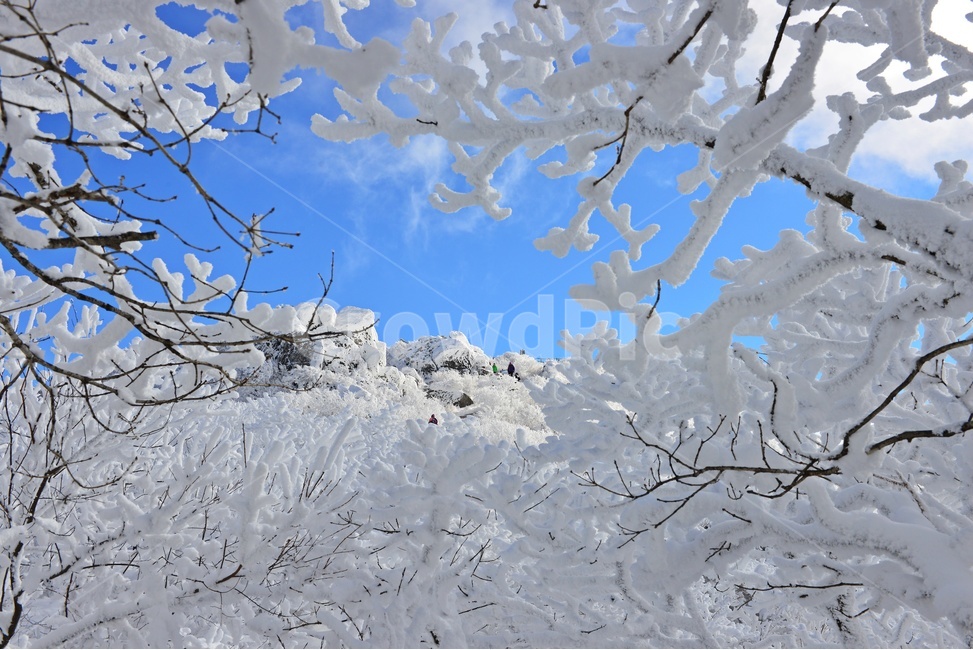 무주,덕유산,덕유산설경,겨울,계절,상고대,향적봉,중봉,nature,자연,mountain,산,outdoors,옥외,ice,빙,mountainrange,산맥,snow,눈,운해,설경,폭설