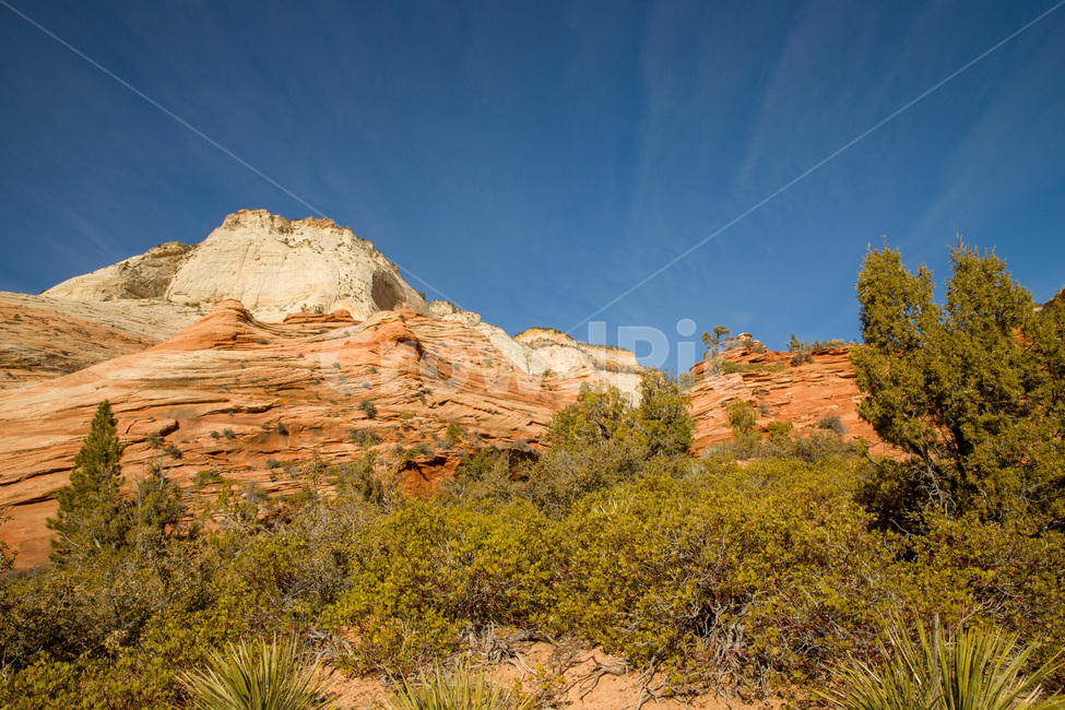 zioncanyon,national,utah,plateau,erosion,sandstone,scenery,arid,beautiful,blue,canyon,cliff,desert,geology,hiking,hill,landscape,mountain,natural,nature,nevadadesert,outdoor,park,red,rock,sand,scenic,sky,stone,summer,tourism,usa,valley,view,미국,아메리카,유타,사막,황량,자이언캐년,자연,풍경,nature,landscape,해외,외국,세계,foreign,oversea,world,세계자연풍경,해외자연풍경,외국자연풍경,world nature landscape