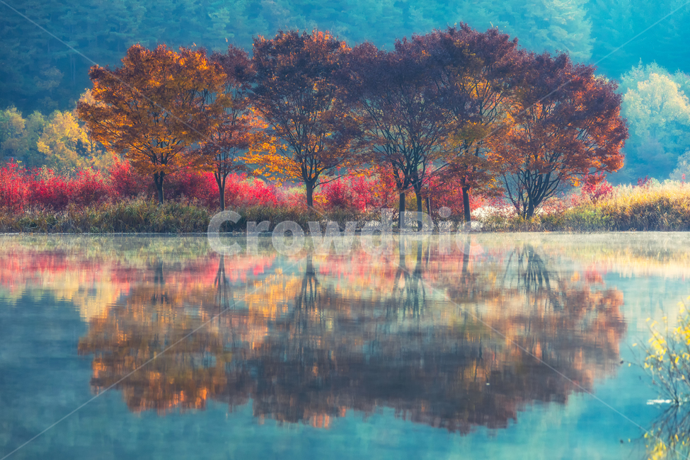 가을풍경,가을,반영,자연,nature,용담호,tree,plant,가을,계절,fall,autumn,season,자연,풍경,nature,landscape,한국자연풍경,한국자연경관,korea nature landscape
