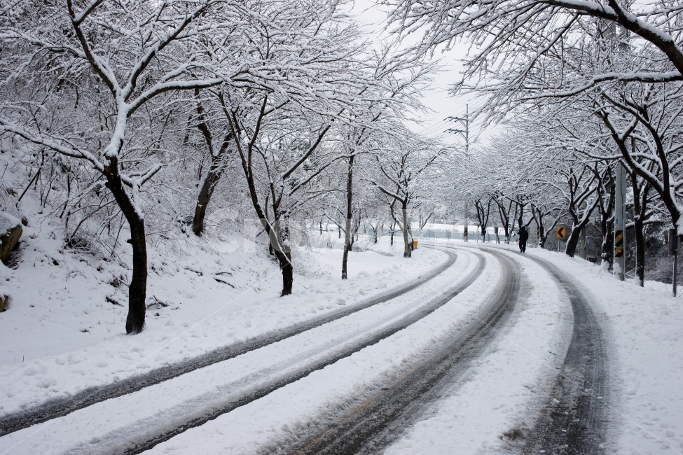 눈길,주전눈길,2010주전,주전눈,울산주전,겨울,계절,winter,season,자연,풍경,nature,landscape,road,도로