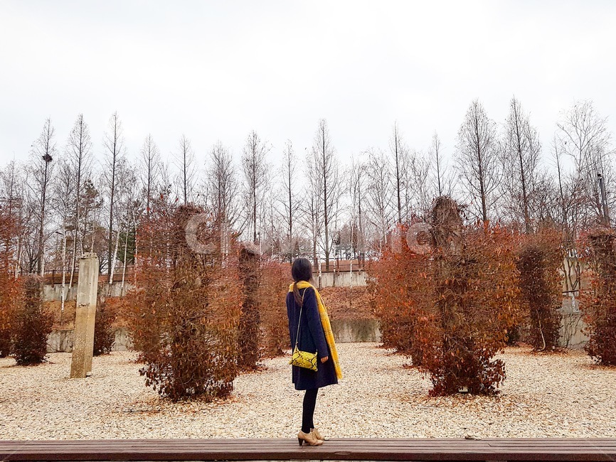 여자뒷모습,공원,겨울,winter,female,girl