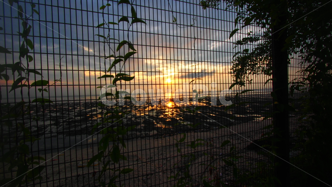 철조망,바다,낙조,노을,sunset,sea,ocean,coast,fence
