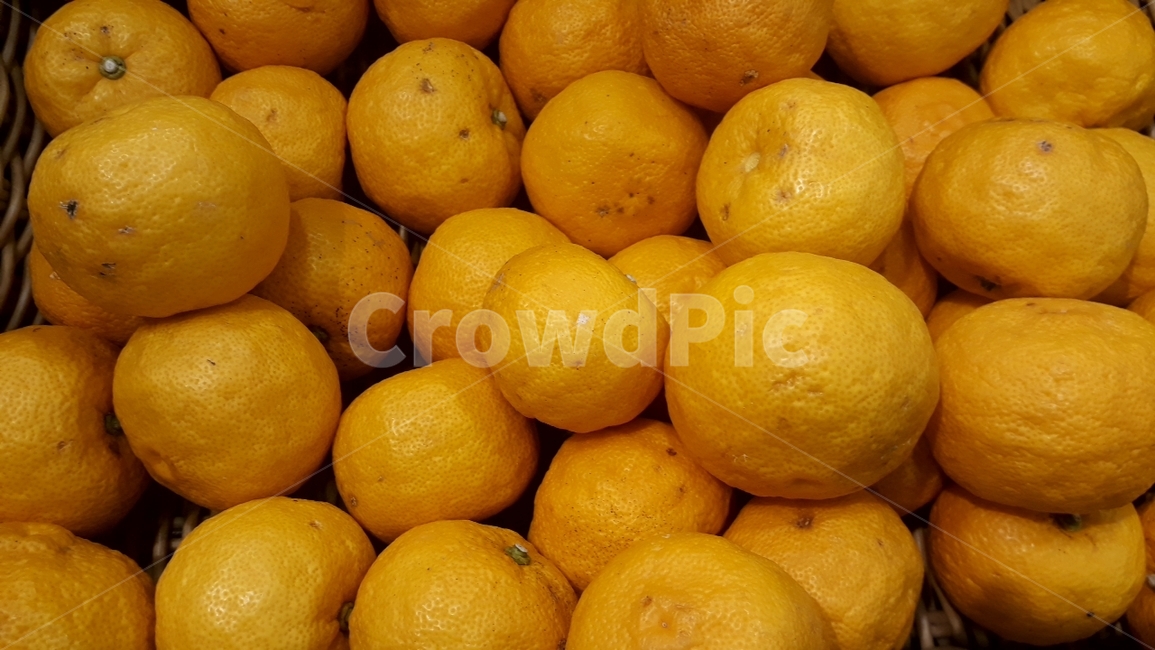 과일,fruit,열매,과채류,농산물