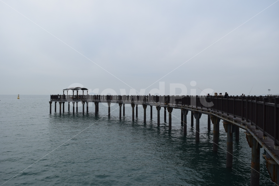 궁평항,바다,다리,겨울,여행,이미지사진,감성사진,자연,풍경,nature,landscape,water,물,waterfront,워터 프론트,port,포트,pier,교각