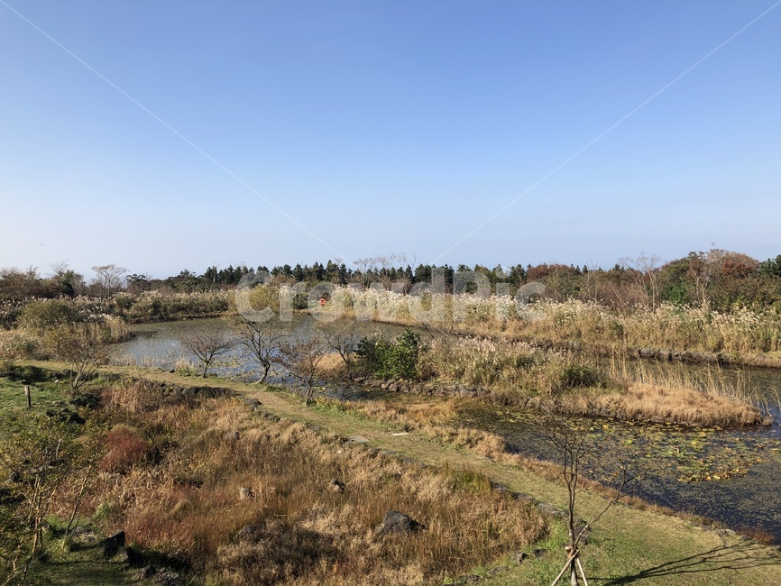 제주도,jeju,풍경,landscape,가을