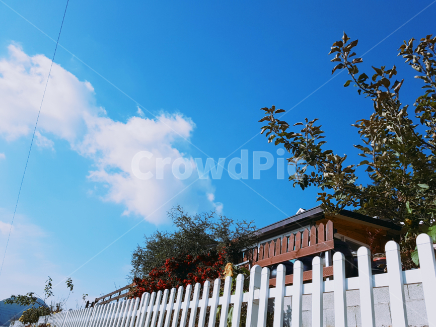 집,하늘,구름,힐링,나무,자연,풍경,nature,landscape,picket,피켓,fence,울타리