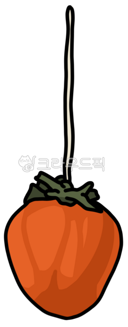 감말리기,단감,단감그림,감,감그림,가을감,가을감그림,곳감,곷감,곳감그림,꽃감그림,꽃감,곷감그림,과일,과일그림,가을과일,가을과일그림,가을과일일러스트,곷감일러스트