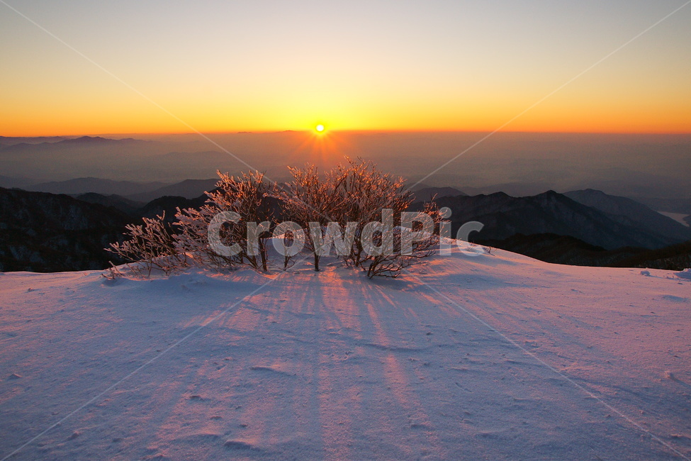 겨울,설경,소백산,눈,일출,겨울,계절,winter,season,자연,풍경,nature,landscape,한국자연풍경,한국자연경관,korea nature landscape,outdoors,옥외