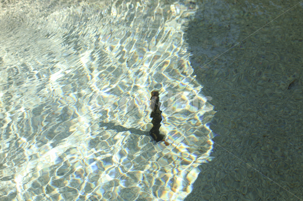 water,물,outdoors,옥외,ocean,대양,sea,바다,nature,자연,물결,wave