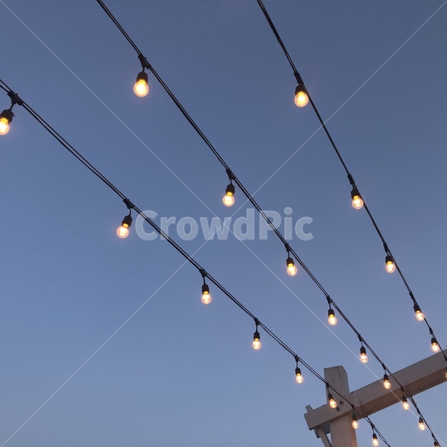 꼬마전구,조명,전구,장식,감성,분위기,필라멘트,전선,bulb,빛,light,길거리