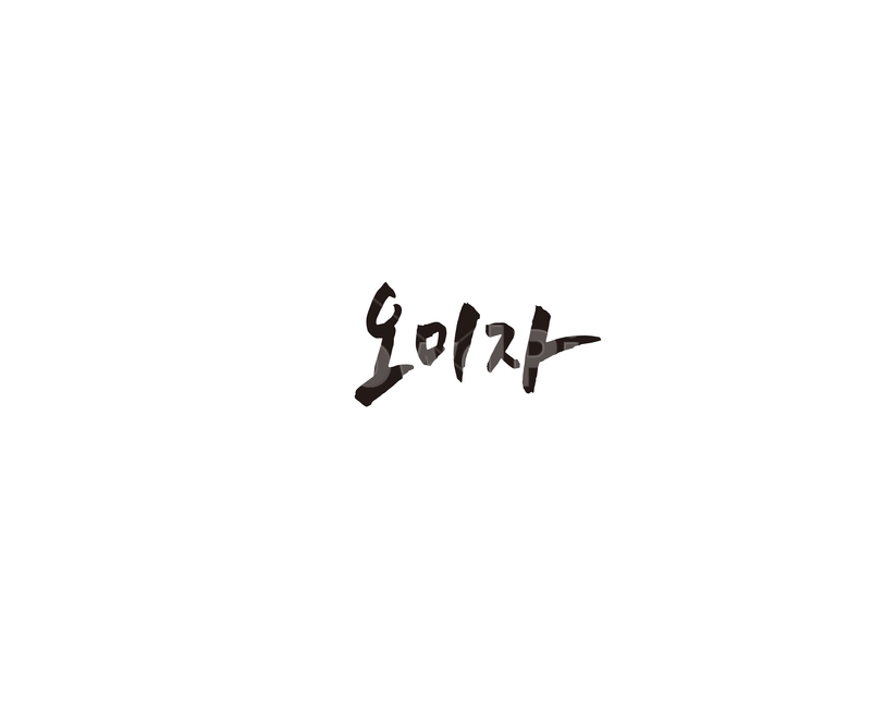 오미자,오미자차,캘리,캘리그라피,열매,그래픽,일러스트레이션,graphic,illustration,캘리그라피,손글씨,calligraphy