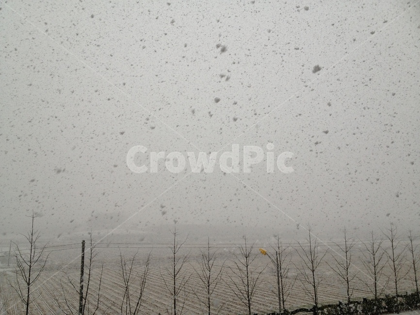 눈,겨울,눈발,눈송이,눈꽃송이,snow,snowing,winter,snowflake,snowflakes,겨울,계절,winter,season