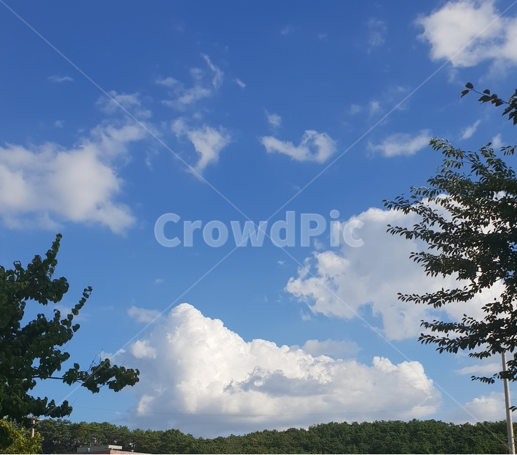 풍경,하늘,나무,자연,구름,자연,풍경,nature,landscape,tree,plant,식물,weather,날씨,outdoors,옥외,cumulus,적운,sky,cloud