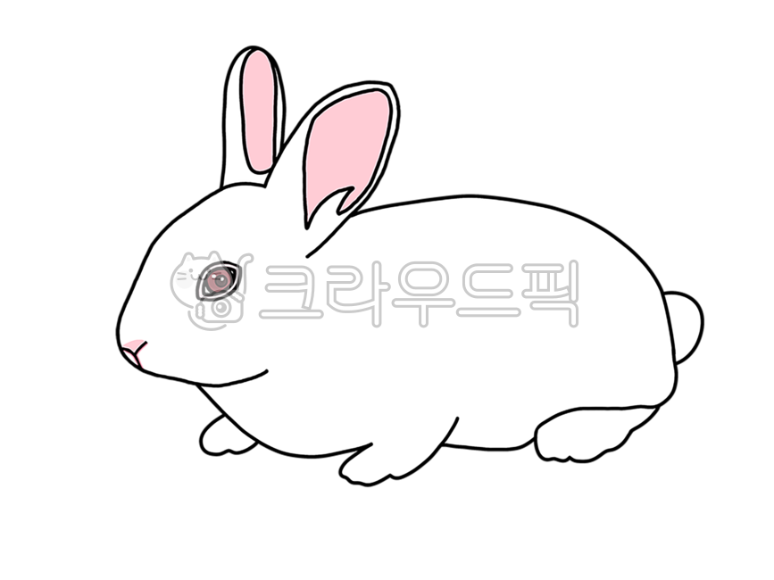 토끼,2023년띠,계묘년,토끼해,토끼띠,동물,흰토끼,흰색토끼,토끼일러스트,흰색토끼일러스트,흰토끼일러스트,2023