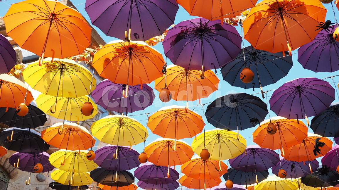 우산,색,컬러,하늘,sky,umbrella,color,colorful,주황색,orange,노란색,yellow,보라색,purple