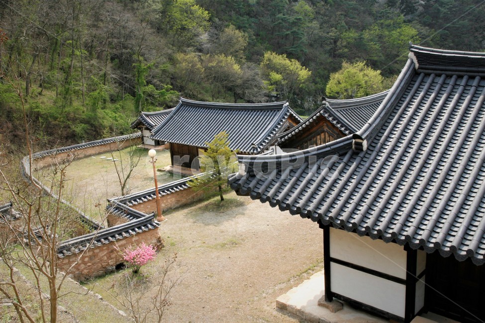 전통,기와,지붕,구조,한옥,한국전통,한국문화,korean traditional,korean culture,건축물,건물외관,exterior,building,structure,architecture,construction
