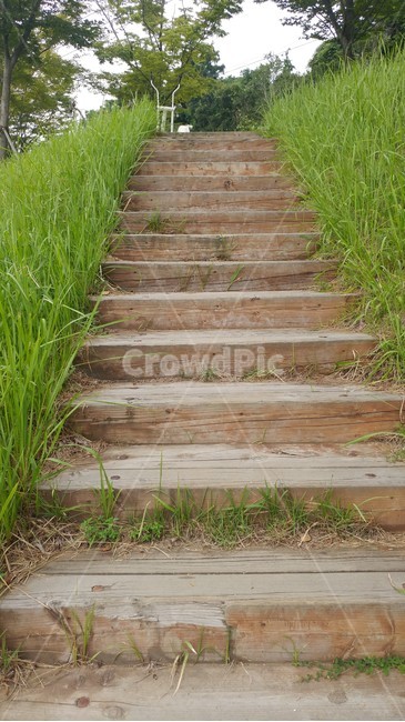 boardwalk,산책로,staircase,계단,나무계단,공원