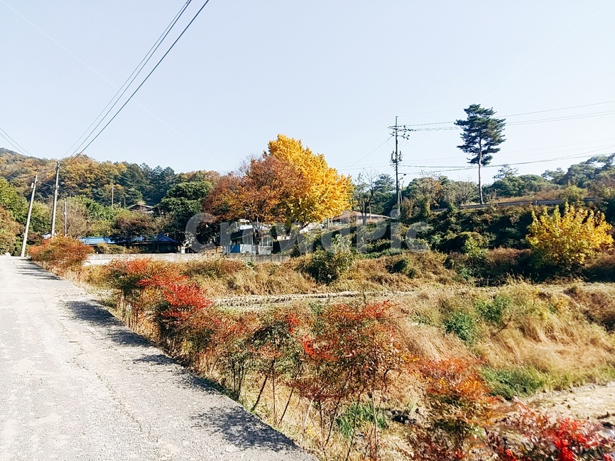 가을,시골,풍경,옥외,outdoors