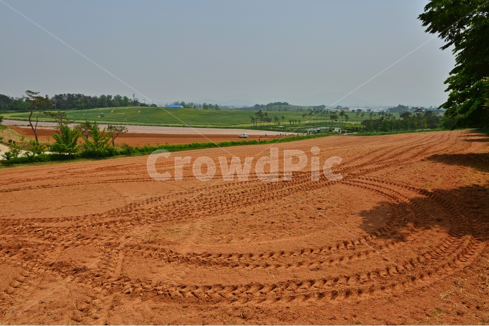 nature,자연,outdoors,옥외,soil,흙,ground,바닥,전북,고창,학원농장,농장,고구마밭,농사비닐,비닐,농업,농사,경작,영농,농경