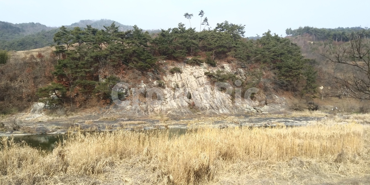 자연,풍경,낭떠러지,암벽,소나무,겨울,계절,winter,season,자연,풍경,nature,landscape