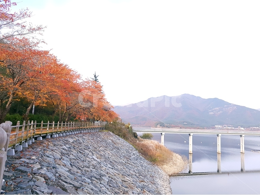 풍경,가을,댐,단풍,다리,자연,수변,울긋불긋,푸른,가을,계절,fall,autumn,season,자연,풍경,nature,landscape,한국자연풍경,한국자연경관,korea nature landscape