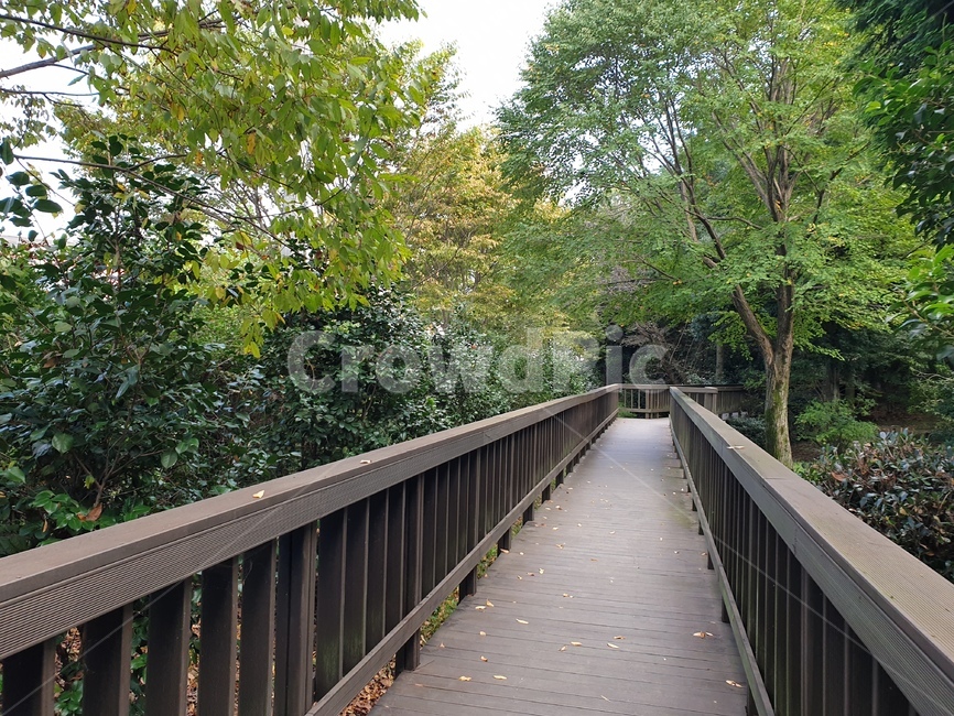 railing,handrail,난간,banister,bridge,다리,building,건물,path,통로,가좌산,산책로,가좌산산책,자연,나무
