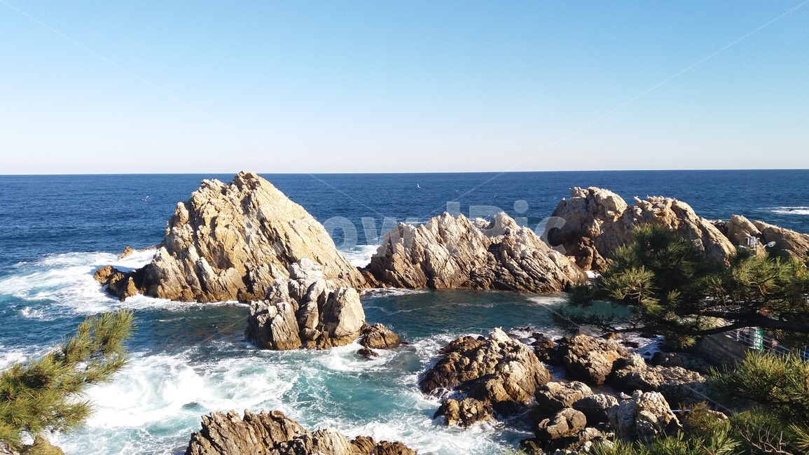 바다,돌,하늘,파도,ocean,rock,sky,wave,절경,수평선,나무하나