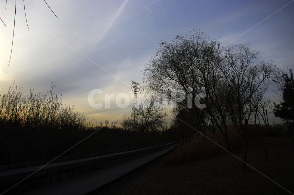 노을,일몰,sunset,하늘,구름,풍경,나무,식물,plant,자연,풍경,nature,landscape