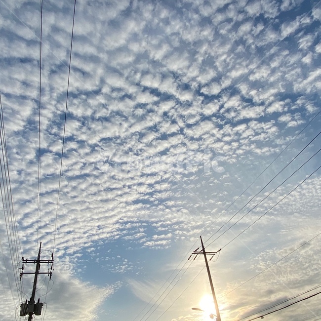 하늘,구름,권적운,weather,outdoors