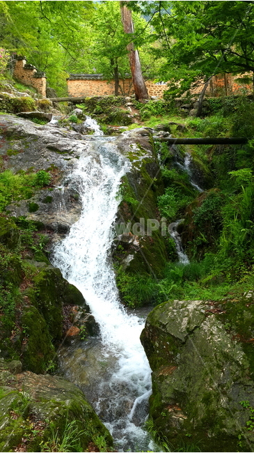 자연,소쇄원,폭포,계곡,숲,담양,자연,풍경,nature,landscape,water,물,outdoors,옥외,river,강,waterfall