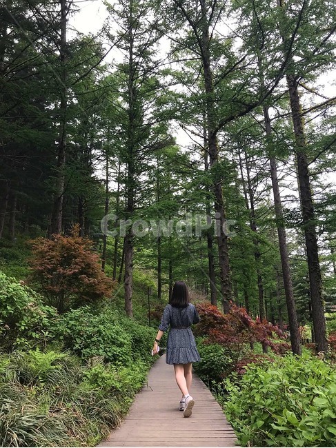 자연,뒷모습,인물,산책,숲속,안식,행복,사람,인물,인간,human,person,여성,여자,woman,female,lady