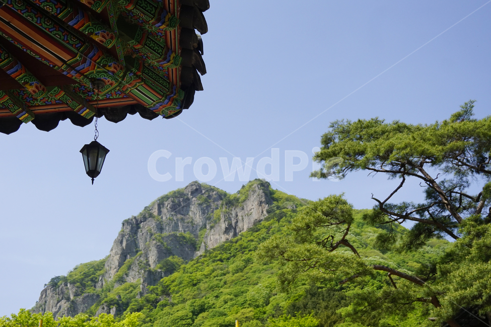 한국,종,풍경,절,전통,korea,traditional,nature,temple,내장산,한국전통,한국문화,korean traditional,korean culture,종교,신앙,religion,belief,faith