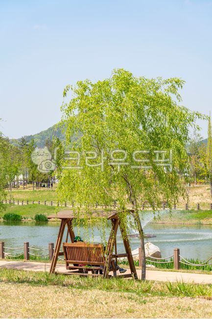 피크닉,산책,정원,소풍,자연,나들이,호수,분수,휴식,봄,계절,나뭇잎,나무,초록색,야외,공원,의자,tree,plant,water,벤치