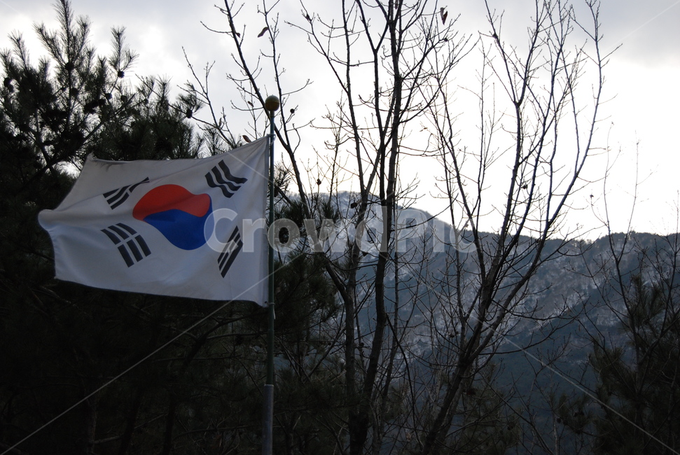 태극기,풍경,겨울,바람,자연,겨울,계절,winter,season,자연,풍경,nature,landscape,한국자연풍경,한국자연경관,korea nature landscape,flag,깃발,symbol,상징